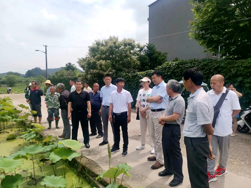 浙農(nóng)股份參加&ldquo;六送下鄉(xiāng)&rdquo;活動(dòng)