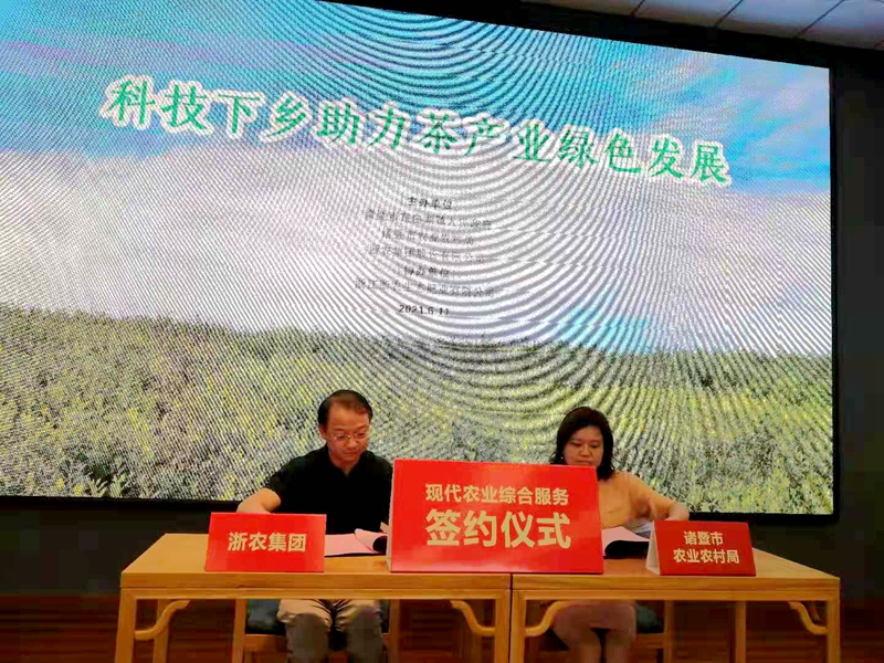 浙農助力諸暨市茶葉特色產業(yè)綠色發(fā)展