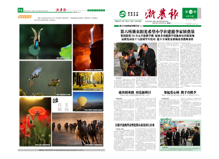 浙農報2013年第12期（一、四版）